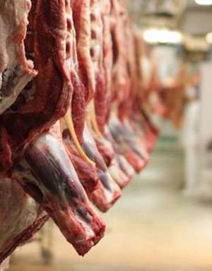 Meat, its products worth of $239.71m exported in six months