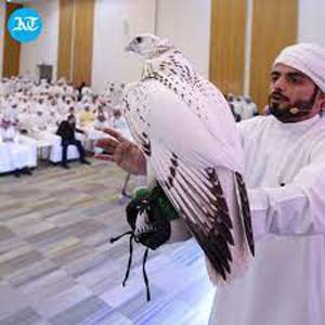 ADIHEX expands its falcon auction to eight days