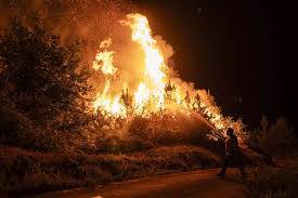 Spain battles 20 major wildfires amid scorching heat, deploys more troops