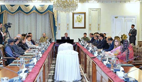 PM seeks plan for relief items distribution among KP flood victims