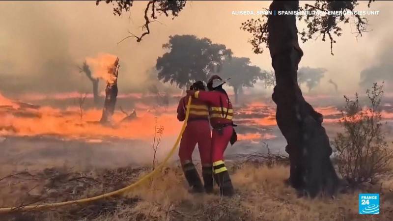 Spain and Portugal battle wildfires as death toll mounts