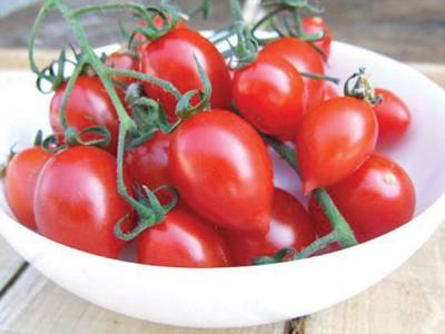 'Super tomatoes' that combat cancer