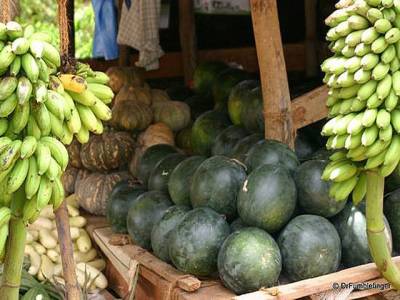 Roadside fruit vendors spreading ailments