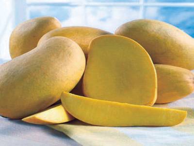 Pakistan produces over 150 varieties of mango