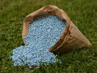 DAWH to sell fertilizer business to Pakarab 
