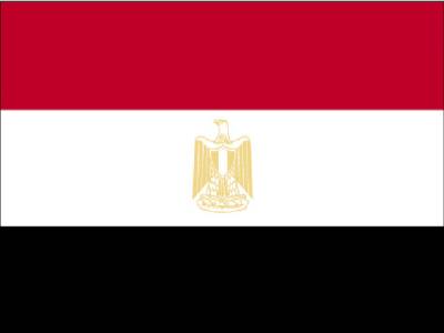 Egyptian team for promoting trade and economic relations
