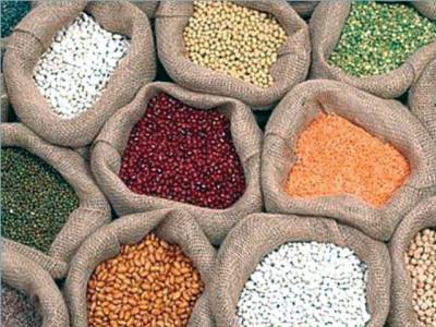 Enhanced pulses production needed