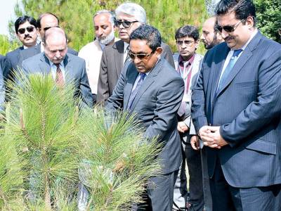 Maldives President plants Pine Tree at Shakarparian