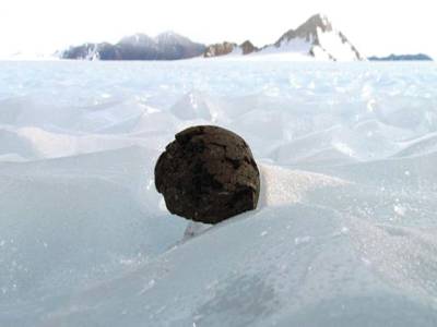 Iron meteorites buried in Antarctica