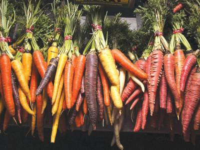 Taiwan man detained over huge carrot hoard