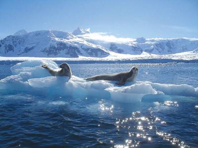 World’s largest marine park created in Antarctic Ocean