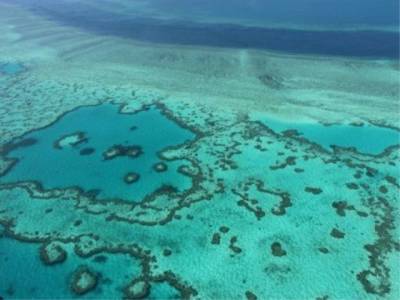 India’s Adani to start work on mine near Great Barrier Reef