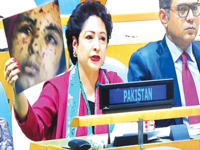 Pakistan calls India predator, ‘mother of terrorism’ in South Asia