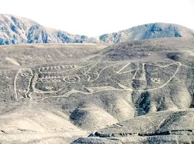 230-foot-long killer whale geoglyph found in Peru Desert