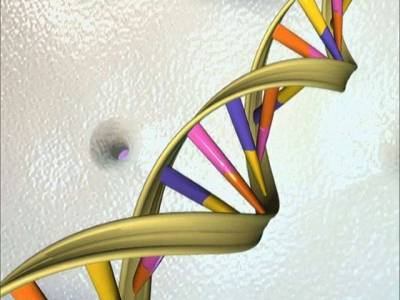 Human genome decoded with pocket-sized device
