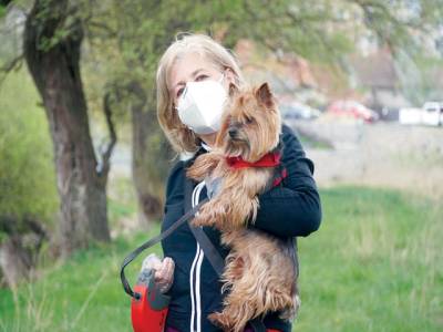 Study finds living with a dog increases risk of contracting Covid-19