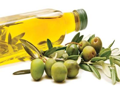 Pakistan can adopt Chinese technology for cultivation of olive plants: Experts
