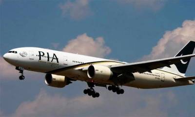 PIA planes suffered 66 bird-hit incidents this year