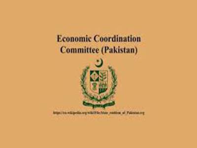 ECC allows export of selected commodities to Afghanistan in Pakistani currency