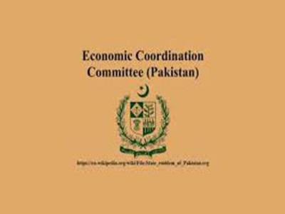 ECC approves Rs25 billion to address liquidity constraints to PSO