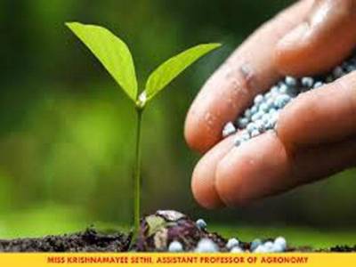 Fertilizer industry concerned over show cause notices from FBR