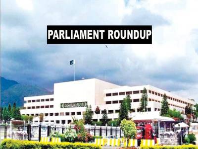 Decision over PTI resignations before presentation of budget