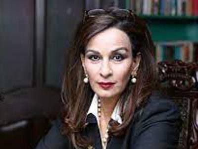 Climate change casts adverse impacts on mangoes production this year: Sherry Rehman