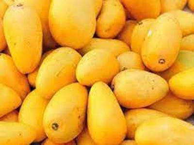 2nd shipment of Sindhri mangoes to arrive today in Kunming, China