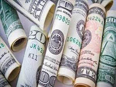Workers’ remittances up 6.3pc to $28.4b in 11 months