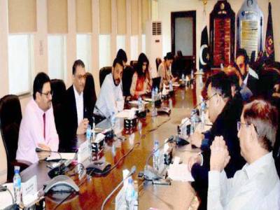 Miftah Ismail assures APCNGA of support in resolving issues
