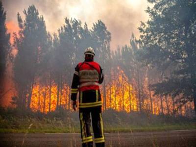 Forest fires rage in scorching southwest Europe