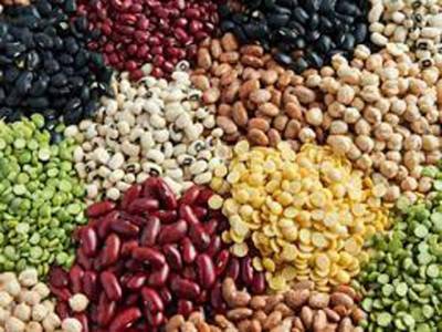 Govt increases pulses, beans prices by upto Rs48/kg