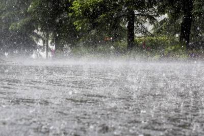 Rain, wind, thundershower expected in most parts of country