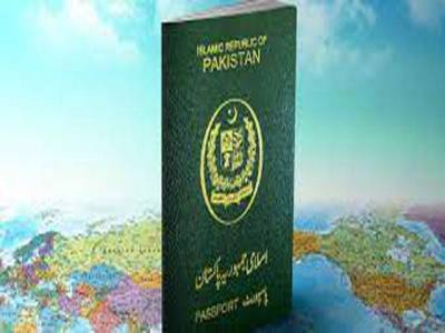 Govt asked to attract overseas Pakistanis to invest in country