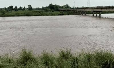 No immediate threat of high-flood in River Ravi: Official