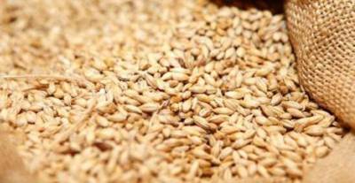 Punjab sets Rs 3,000 support price for wheat 40kg
