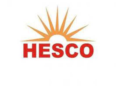Federal govt sacks CEOs of Pesco, Hesco