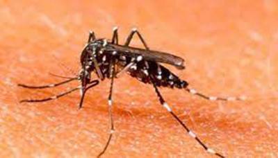 Dengue claims five lives in KP, 3,888 under treatment