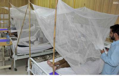 191 dengue cases reported in Punjab