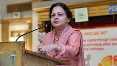 Govt sets restriction for foreign travelers to buy US dollars: Aisha Ghaus