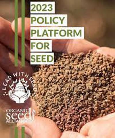 Legal, regulatory framework for seed must be improved: National Food CEO
