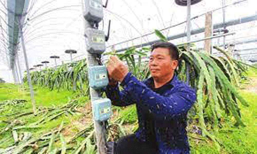 China digital farming: Pak-project “Digital Dera” comes into play